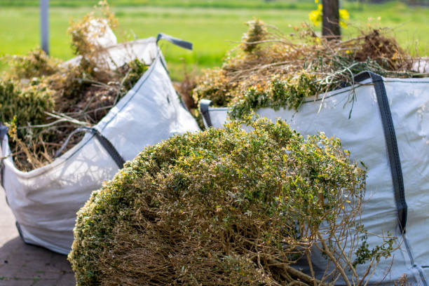  Detroit Lakes, MN Junk Removal Services Pros